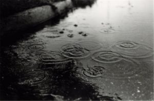 Regen